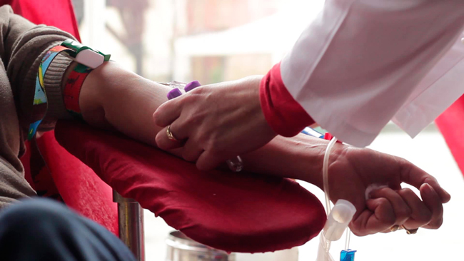 
		Как часто можно сдавать кровь на донорство: правила и ограничения